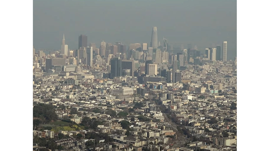 BWREN | San Francisco Full Length | Le Street C Chic