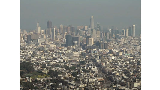 BWREN | San Francisco Full Length | Le Street C Chic