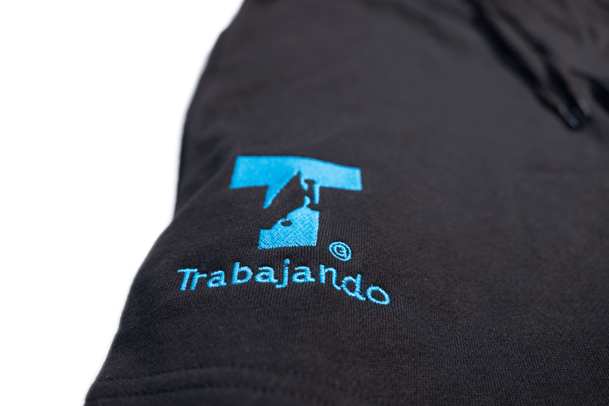 Trabajando Embroidered Blue T-Logo Black Fleece Shorts - Trabajando Skate Apparel